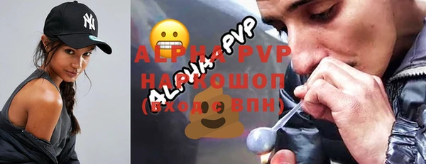 2c-b Бородино