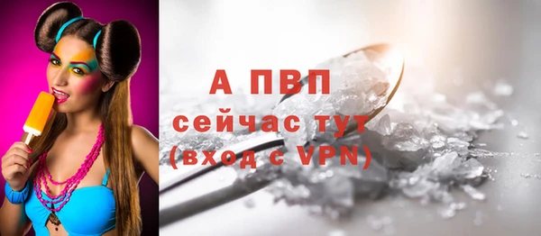 гидра Бронницы