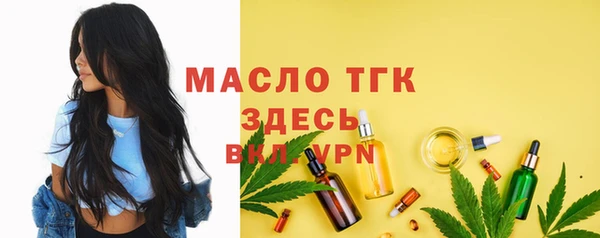 гидра Бронницы