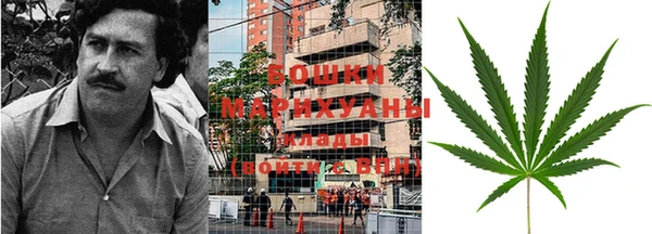 2c-b Бородино