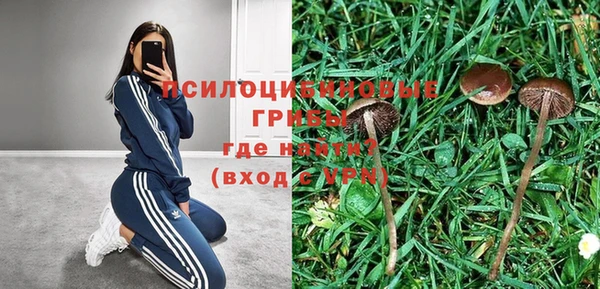 прущая мука Бугульма