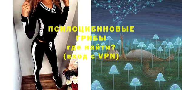 2c-b Бородино