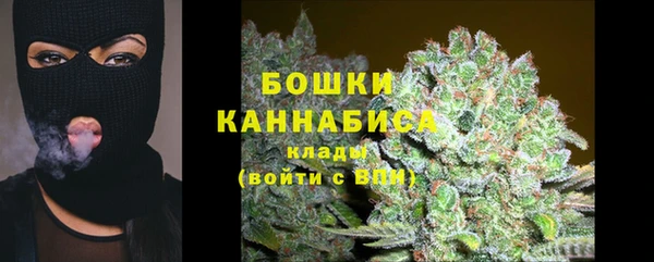 гидра Бронницы